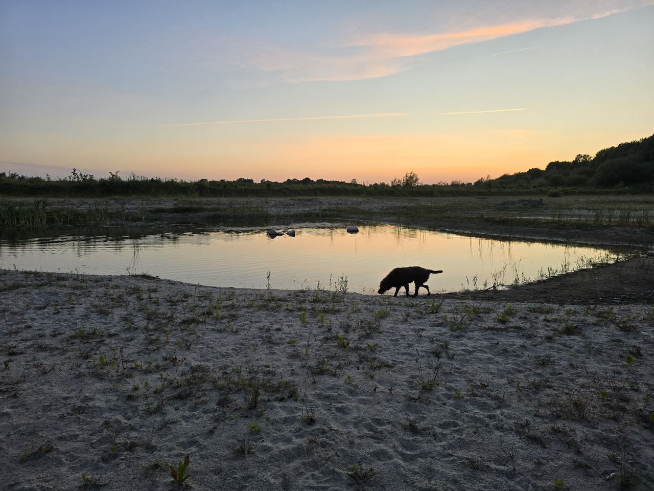 Abendstimmung